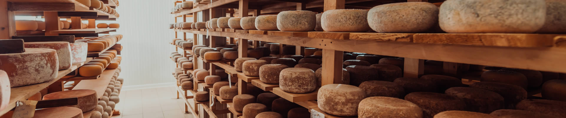 Cheese counter display